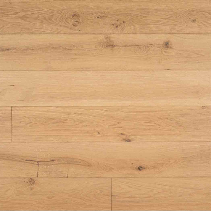 Montevideo Oak