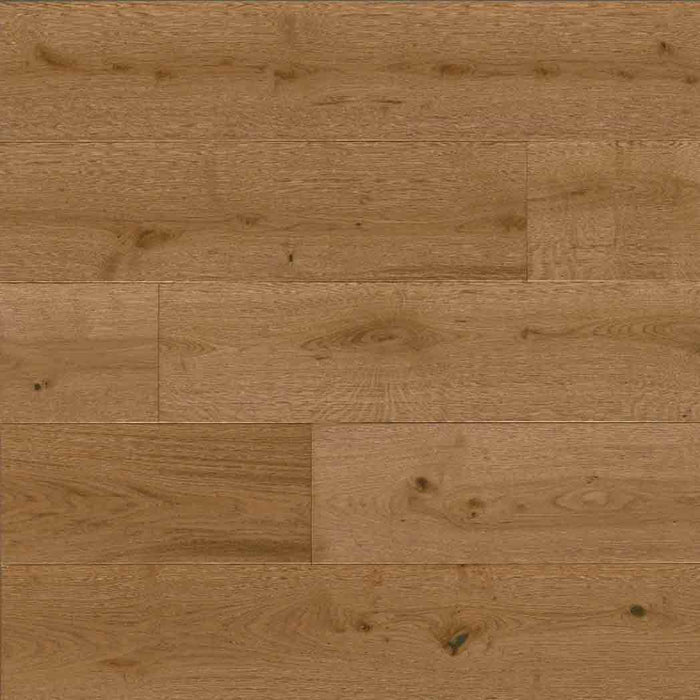 Leander Oak