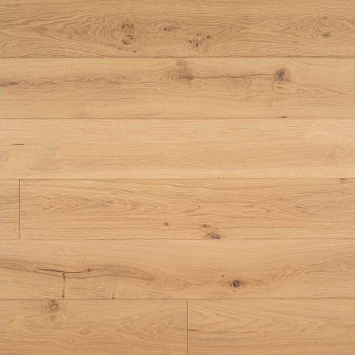 Montevideo Oak