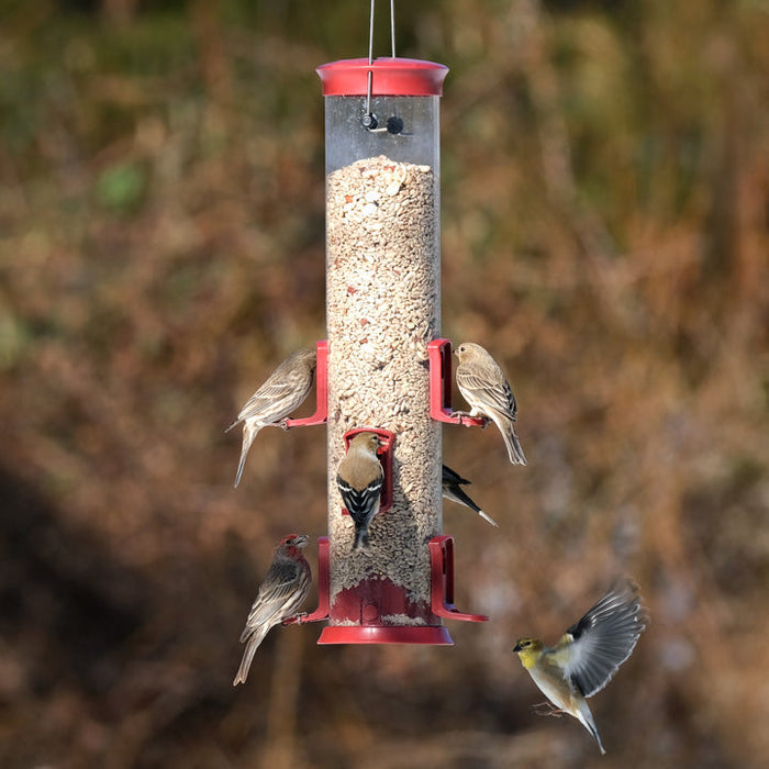 Nature's Way Large Plastic Tube Bird Feeder Red