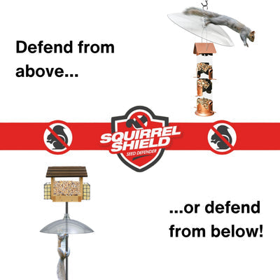 Nature's Way Squirrel Shield Dual-Mount Transparent 16" Squirrel Baffle