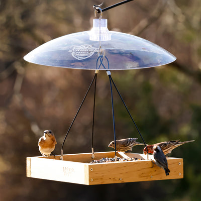 Nature's Way Squirrel Shield Dual-Mount Transparent 16" Squirrel Baffle