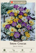Netherland Bulb Company Specie Minimus Snow Crocus