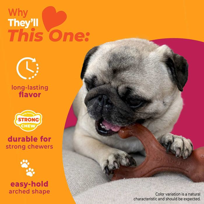 Nylabone Strong Chew Wishbone Dog Chew Toy