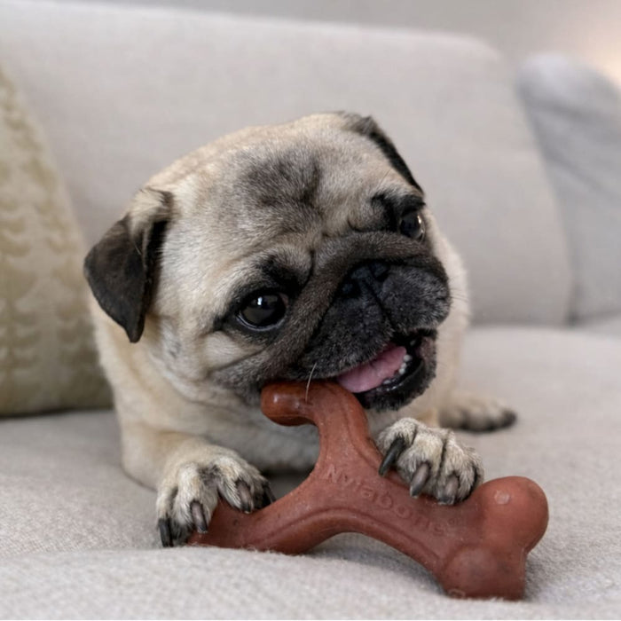 Nylabone Strong Chew Wishbone Dog Chew Toy