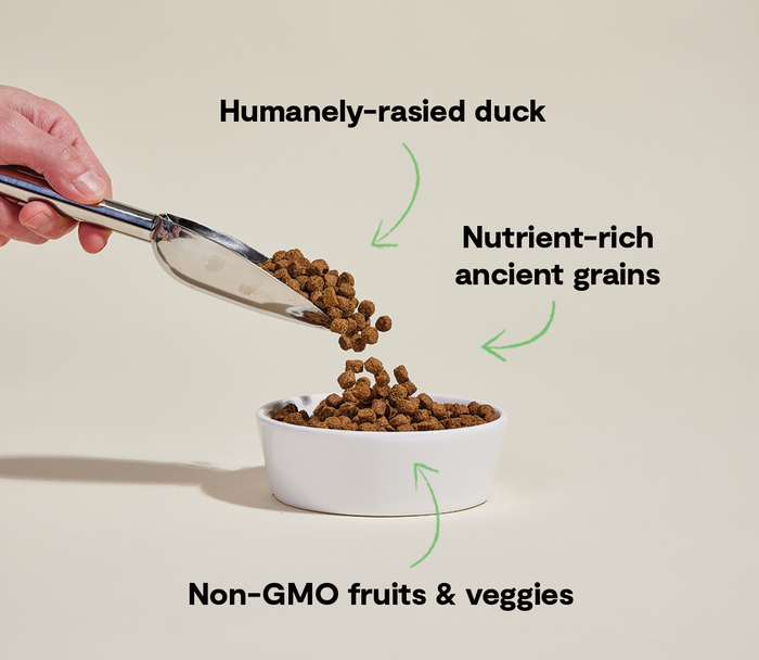 Open Farm Farmstead Duck Ancient Grains Dog Kibble