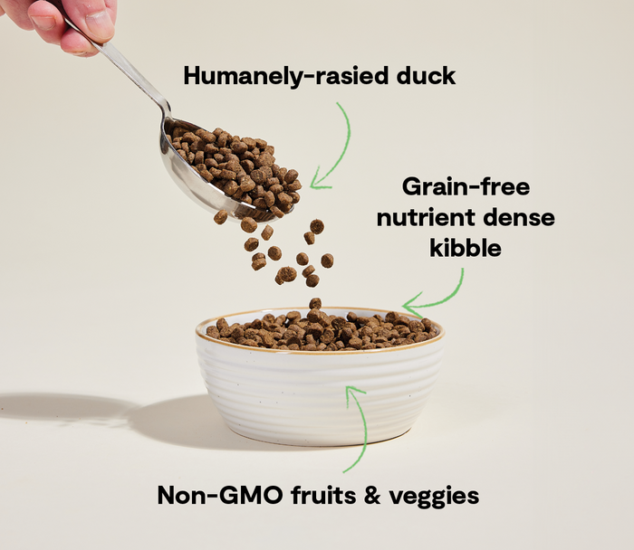 Open Farm Farmstead Duck Grain-Free Cat Kibble