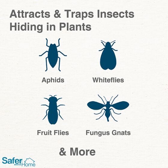 Safer® Home Houseplant Sticky Stakes