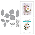 Victorian Garden Collection - Southern Magnolia Dies