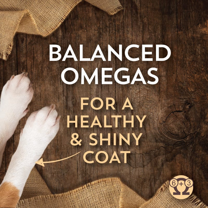 Wholesomes Sensitive Skin & Stomach Small Breed with Salmon Protein For Dogs & Puppies