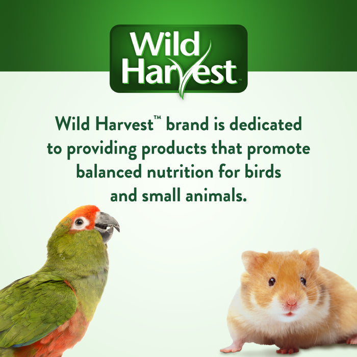 WILD HARVEST Picnic Party Hut, Strawberry Flavor Small Animal Treats