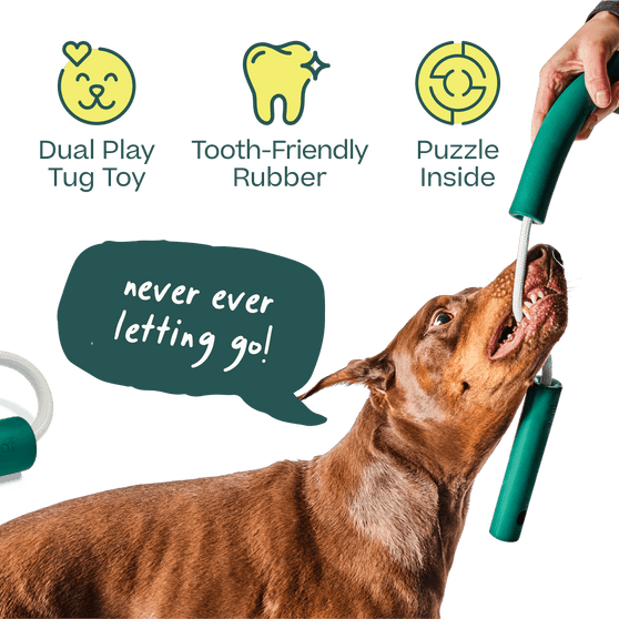 Woof Nomchucks Dog Toy