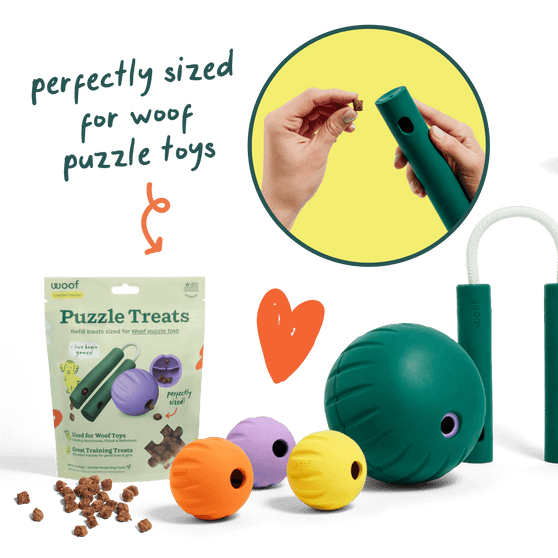 Woof Puzzle Treats Dog Toy