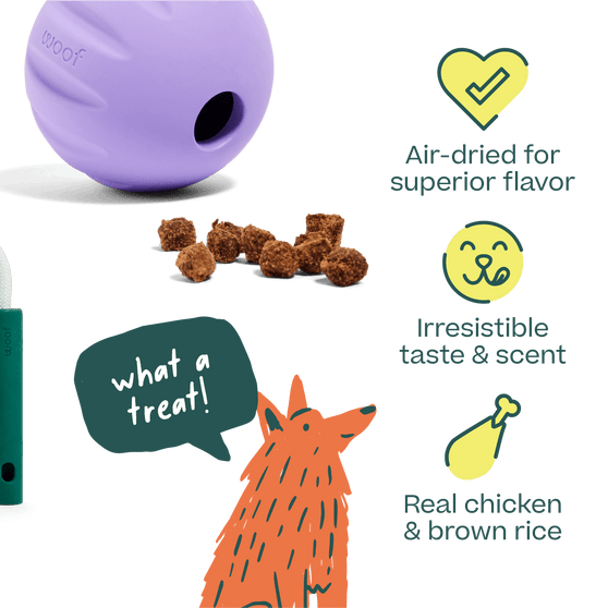 Woof Puzzle Treats Dog Toy